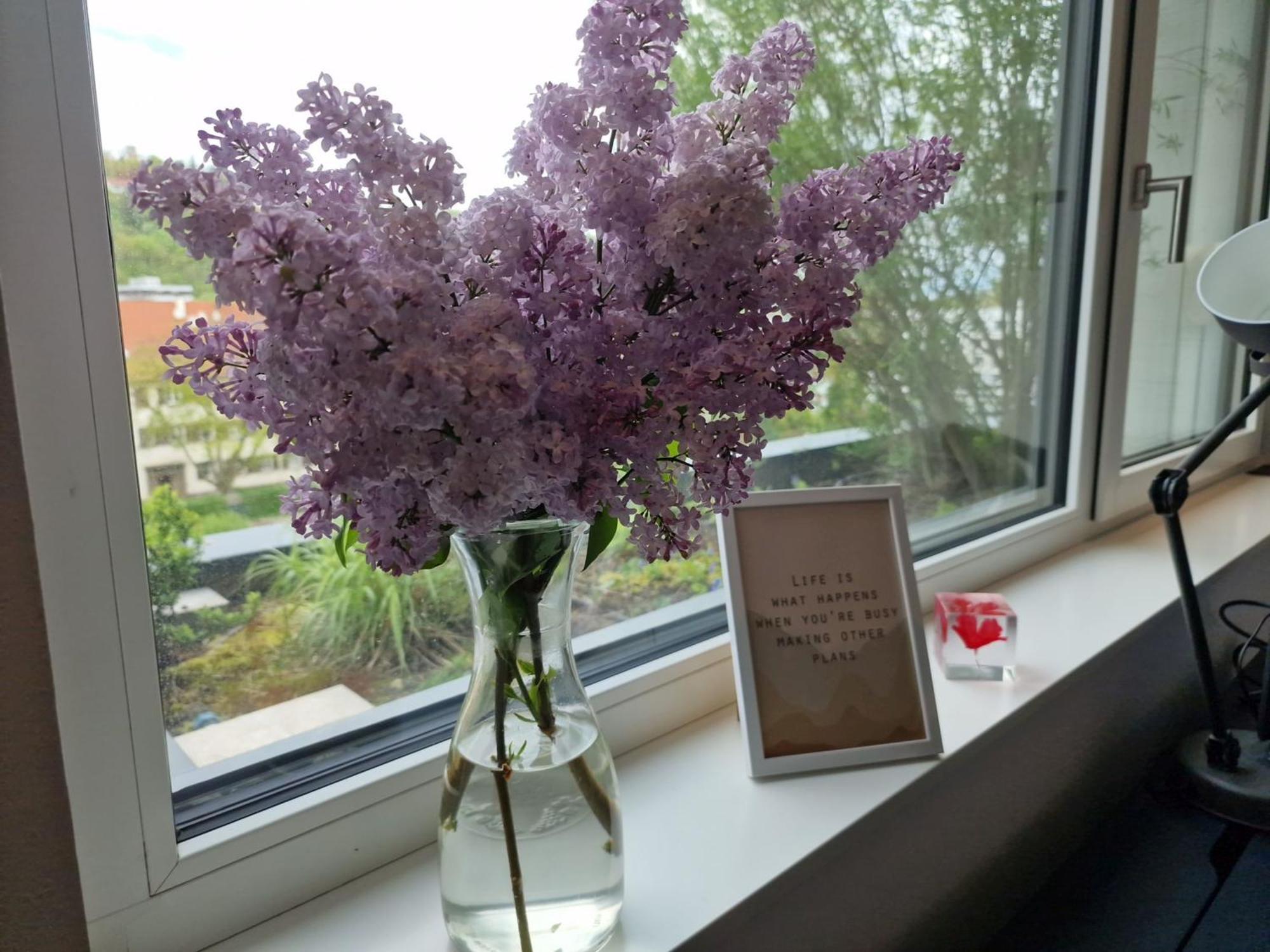 Stadtnahes Gaestezimmer Im Penthouse Bei Esi Tübingen Екстериор снимка